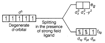 CBSE Sample Papers for Class 12 Chemistry Set 12 with Solutions 14