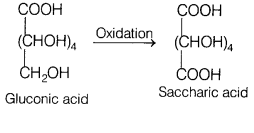 CBSE Sample Papers for Class 12 Chemistry Set 2 with Solutions 15