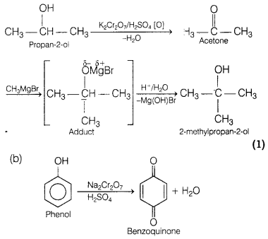 CBSE Sample Papers for Class 12 Chemistry Set 2 with Solutions 16