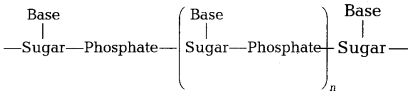 CBSE Sample Papers for Class 12 Chemistry Set 2 with Solutions 19