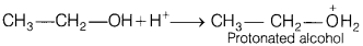 CBSE Sample Papers for Class 12 Chemistry Set 2 with Solutions 21