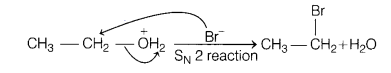 CBSE Sample Papers for Class 12 Chemistry Set 2 with Solutions 22