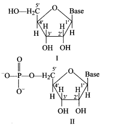 CBSE Sample Papers for Class 12 Chemistry Set 3 with Solutions 5