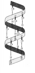 CBSE Sample Papers for Class 12 Chemistry Set 5 with Solutions 3