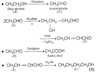 CBSE Sample Papers for Class 12 Chemistry Set 6 with Solutions 33