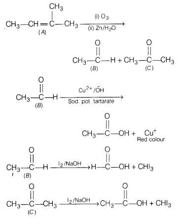 CBSE Sample Papers for Class 12 Chemistry Set 7 with Solutions 43