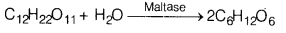 CBSE Sample Papers for Class 12 Chemistry Set 9 with Solutions 24