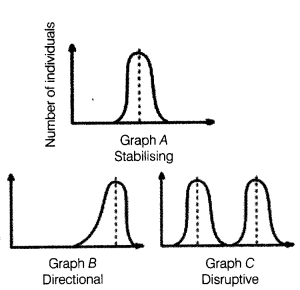 CBSE Sample Papers for Class 12 Biology Set 1 with Solutions 10