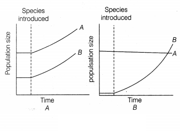 CBSE Sample Papers for Class 12 Biology Set 1 with Solutions 13