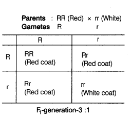 CBSE Sample Papers for Class 12 Biology Set 1 with Solutions 14