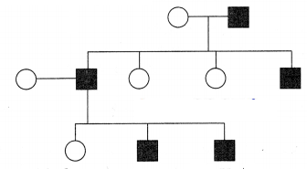 CBSE Sample Papers for Class 12 Biology Set 10 with Solutions 2