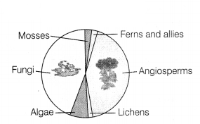 CBSE Sample Papers for Class 12 Biology Set 11 with Solutions 5