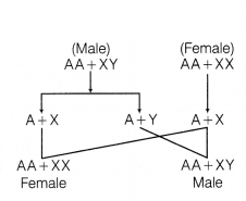 CBSE Sample Papers for Class 12 Biology Set 11 with Solutions 6