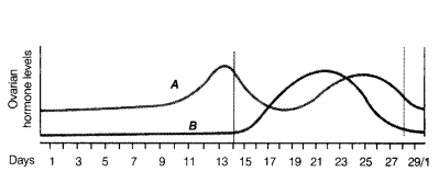 CBSE Sample Papers for Class 12 Biology Set 12 with Solutions 4