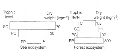 CBSE Sample Papers for Class 12 Biology Set 12 with Solutions 7