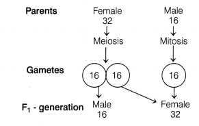 CBSE Sample Papers for Class 12 Biology Set 2 with Solutions 1