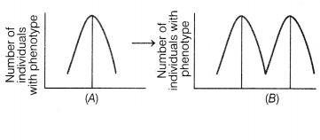 CBSE Sample Papers for Class 12 Biology Set 2 with Solutions 11