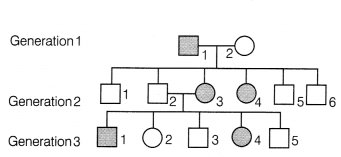 CBSE Sample Papers for Class 12 Biology Set 3 with Solutions 12