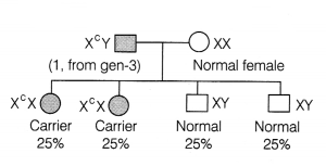 CBSE Sample Papers for Class 12 Biology Set 3 with Solutions 13