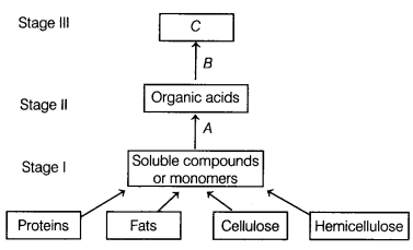 CBSE Sample Papers for Class 12 Biology Set 3 with Solutions 2