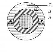 CBSE Sample Papers for Class 12 Biology Set 3 with Solutions 6