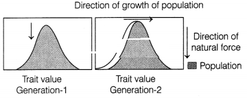 CBSE Sample Papers for Class 12 Biology Set 4 with Solutions 13