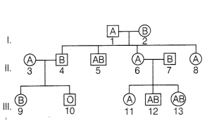 CBSE Sample Papers for Class 12 Biology Set 4 with Solutions 14