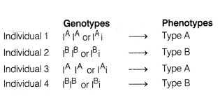 CBSE Sample Papers for Class 12 Biology Set 4 with Solutions 16