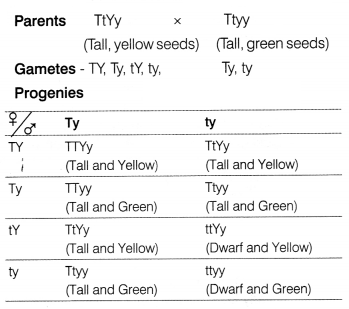 CBSE Sample Papers for Class 12 Biology Set 4 with Solutions 2