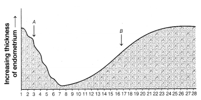 CBSE Sample Papers for Class 12 Biology Set 4 with Solutions 4