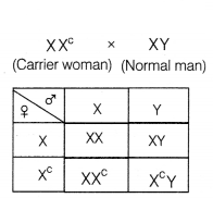 CBSE Sample Papers for Class 12 Biology Set 5 with Solutions 11