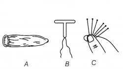 CBSE Sample Papers for Class 12 Biology Set 5 with Solutions 3