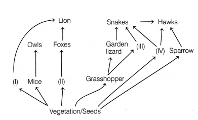 CBSE Sample Papers for Class 12 Biology Set 5 with Solutions 4