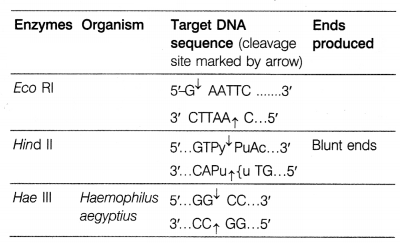 CBSE Sample Papers for Class 12 Biology Set 6 with Solutions 14