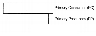 CBSE Sample Papers for Class 12 Biology Set 6 with Solutions 6