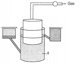 CBSE Sample Papers for Class 12 Biology Set 6 with Solutions 7