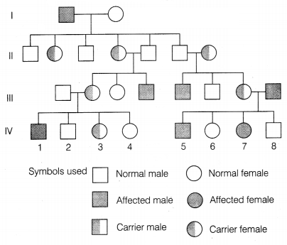 CBSE Sample Papers for Class 12 Biology Set 6 with Solutions 9