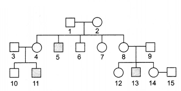 CBSE Sample Papers for Class 12 Biology Set 7 with Solutions 10