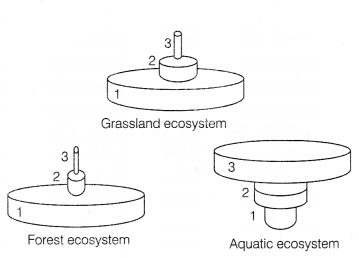 CBSE Sample Papers for Class 12 Biology Set 7 with Solutions 5