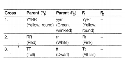 CBSE Sample Papers for Class 12 Biology Set 8 with Solutions 14