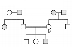 CBSE Sample Papers for Class 12 Biology Set 8 with Solutions 2