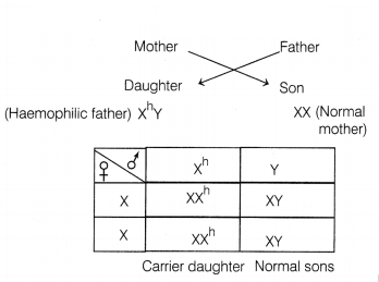 CBSE Sample Papers for Class 12 Biology Set 8 with Solutions 4