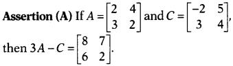 CBSE Sample Papers for Class 12 Maths Set 10 with Solutions 22