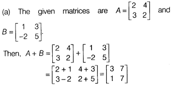 CBSE Sample Papers for Class 12 Maths Set 11 with Solutions 19