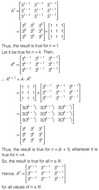 CBSE Sample Papers for Class 12 Maths Set 12 with Solutions 45