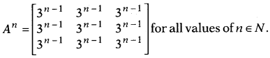 CBSE Sample Papers for Class 12 Maths Set 12 with Solutions 47