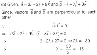 CBSE Sample Papers for Class 12 Maths Set 5 with Solutions 3