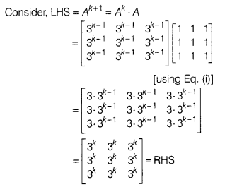 CBSE Sample Papers for Class 12 Maths Set 8 with Solutions 48