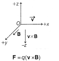 CBSE Sample Papers for Class 12 Physics Set 1 with Solutions 12