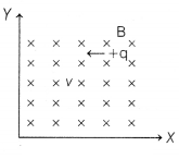 CBSE Sample Papers for Class 12 Physics Set 10 with Solutions 8